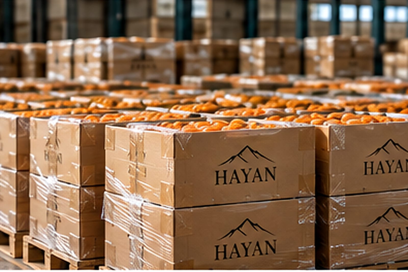 Cartons of dried fruit ready for shipping